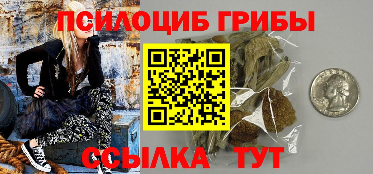 Нижнекамск  наркотики  Вход с VPN  Псилоцибиновые грибы Psilocybine cubensis 